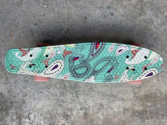 Complete 22 Inch Sanview Mini Cruiser Skateboard