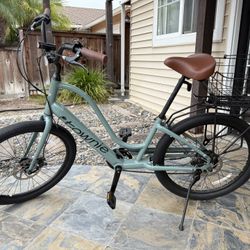 Townie go! - Electra Bike!