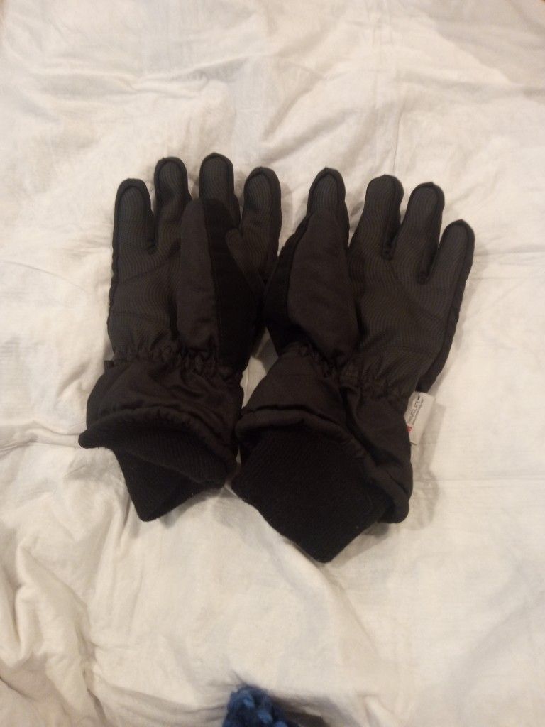 Snow Gloves 