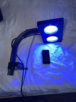 Reef light