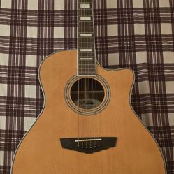 Acoustic Guitar