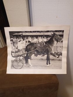 Horse Race 1957 Winner 