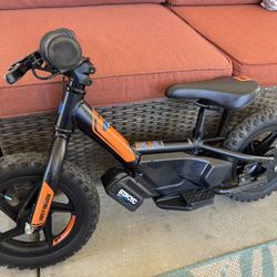 Stacyc 12e Harley Davidson Edition