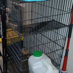 Small Animal Cages 