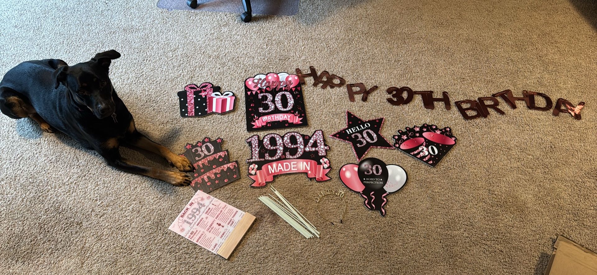 30th Birthday Decorations