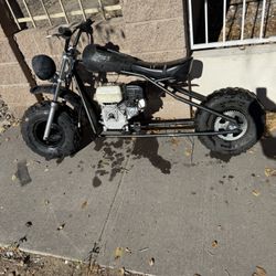 Coleman Stretched Mini Bike Project 