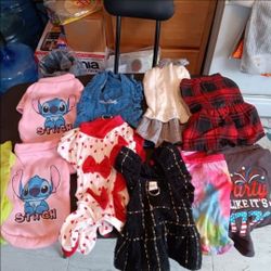 Small Dog clothes