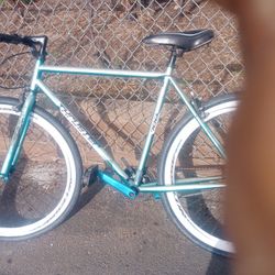 Thruster 700 Series Fixie Road Bike