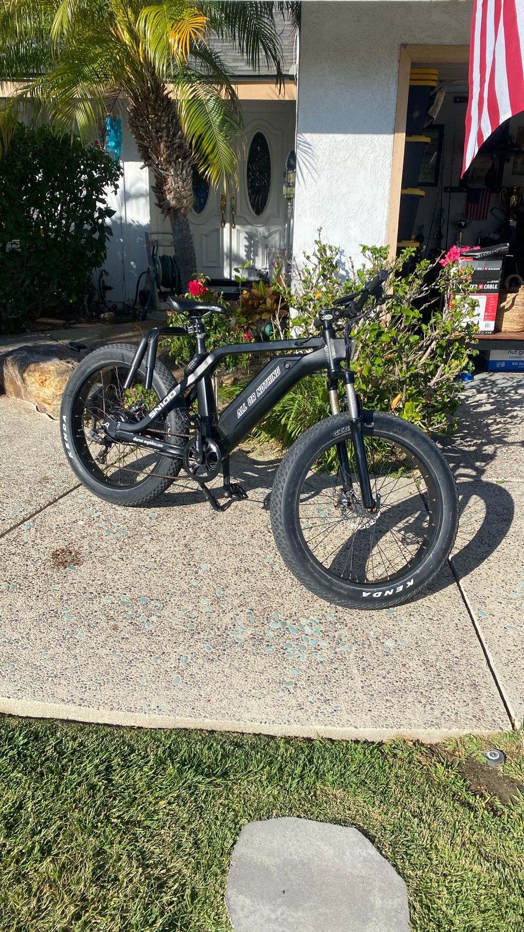 Electric bike
