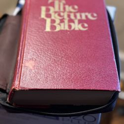 The Picture Bible
