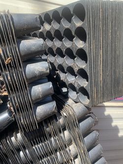 Cone For Seed I Have Around 500 For $75 For All