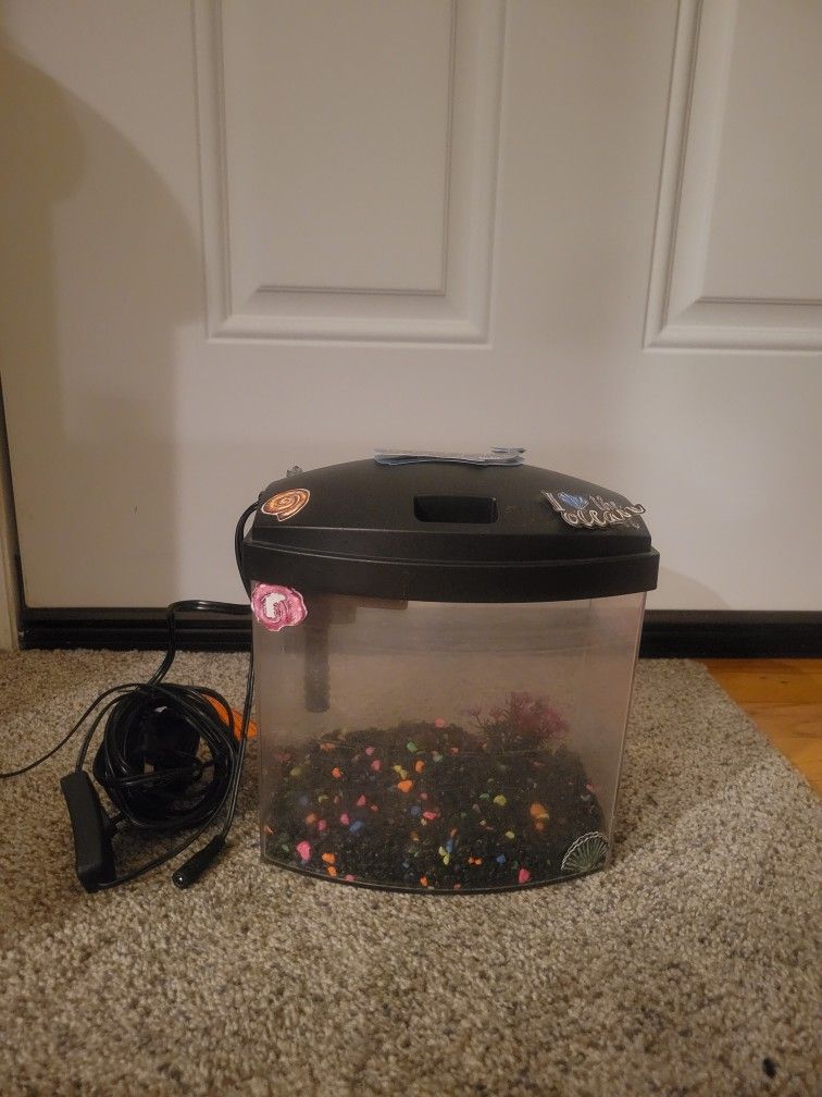 Small Fish Tank With Filters and Aquatic Substrate