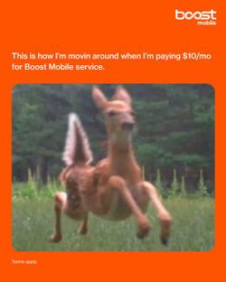 $10 for 3 Months
