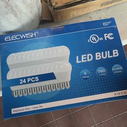 24 Pack Light Bulbs