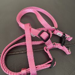 Dog Harness.   