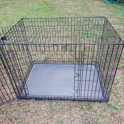 Large Kong Dog Kennel 