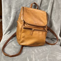Backpack / Handbag