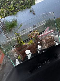 Fish tank