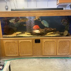 Acrilic 400 Gallon Fish Tank for Sale in Mamaroneck NY OfferUp