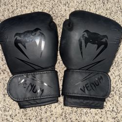 Boxing Gloves With Pads