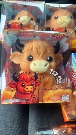 Highland cow