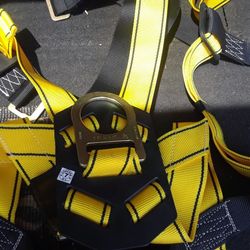 Safety Harness