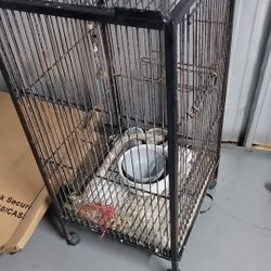 Bird Cage