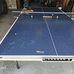 Ping Pong Table 