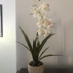 Three Faux orchid plants