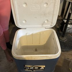 Igloo Cooler
