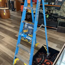Werner Ladder 