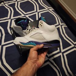 AIR JORDAN 5 RETRO 2013 "GRAPES"