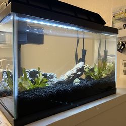 10 Gallon Fish Tank + Supplies