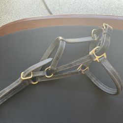 Black Leather Horse Halter