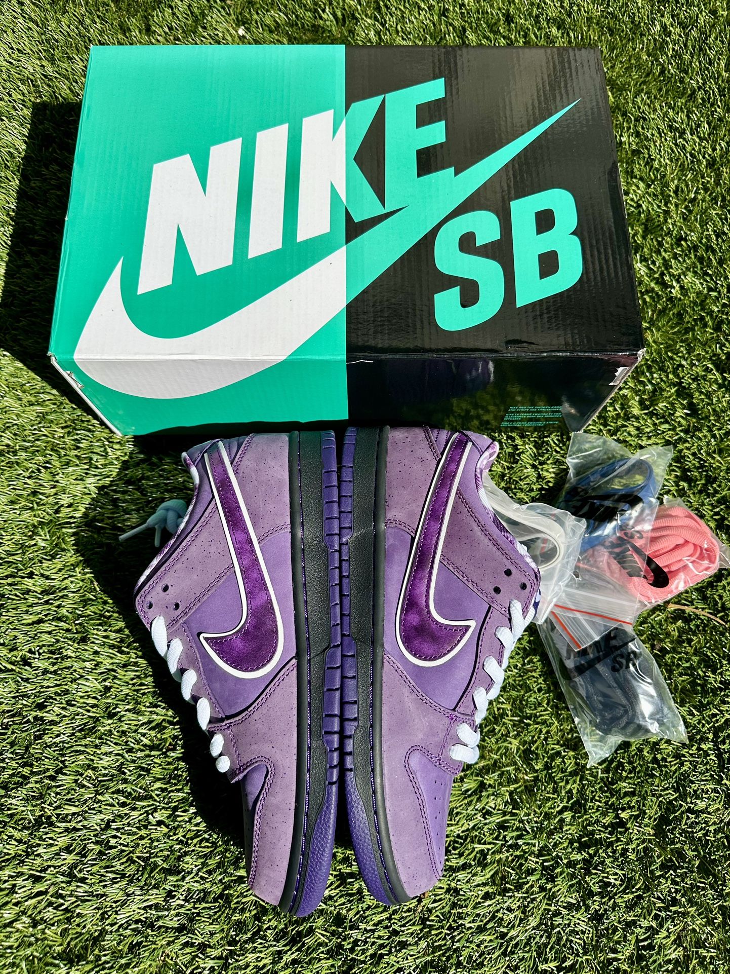 Nike Sb Dunks Lobster