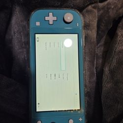 Switch Lite and Protective Case