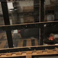 150 Gallon Fish Tank 