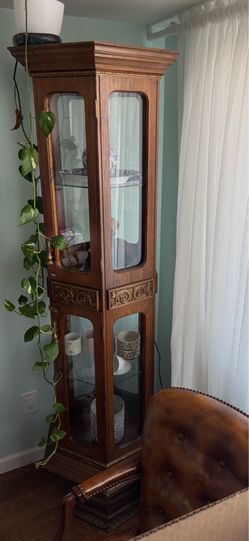 Amazing Vintage Glass Display/Cabinet/Credenza, great condition.
