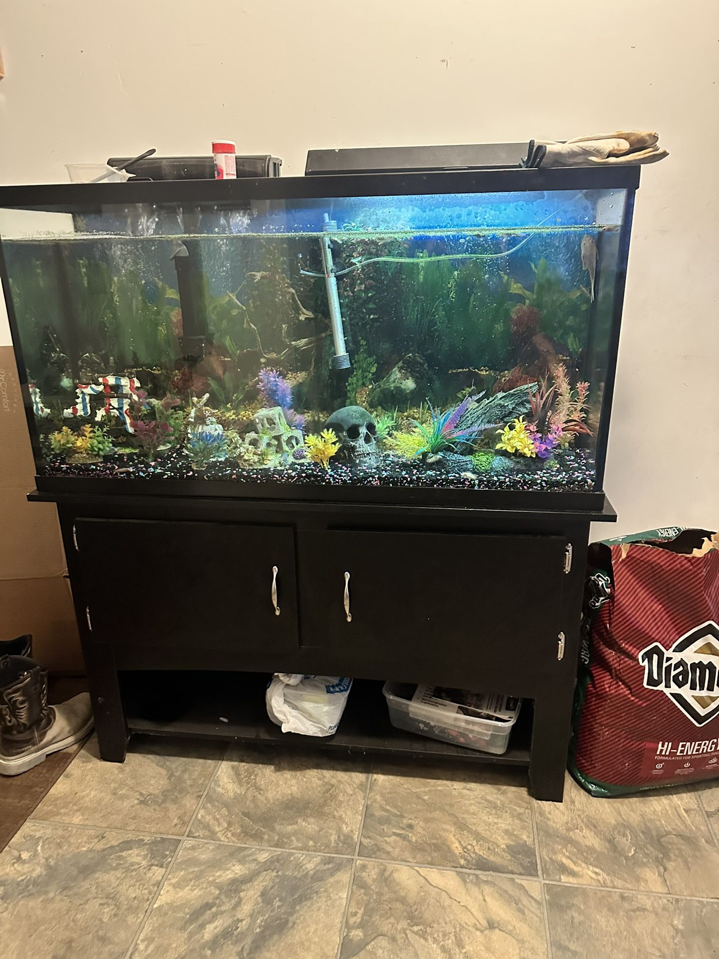 Fish Tank