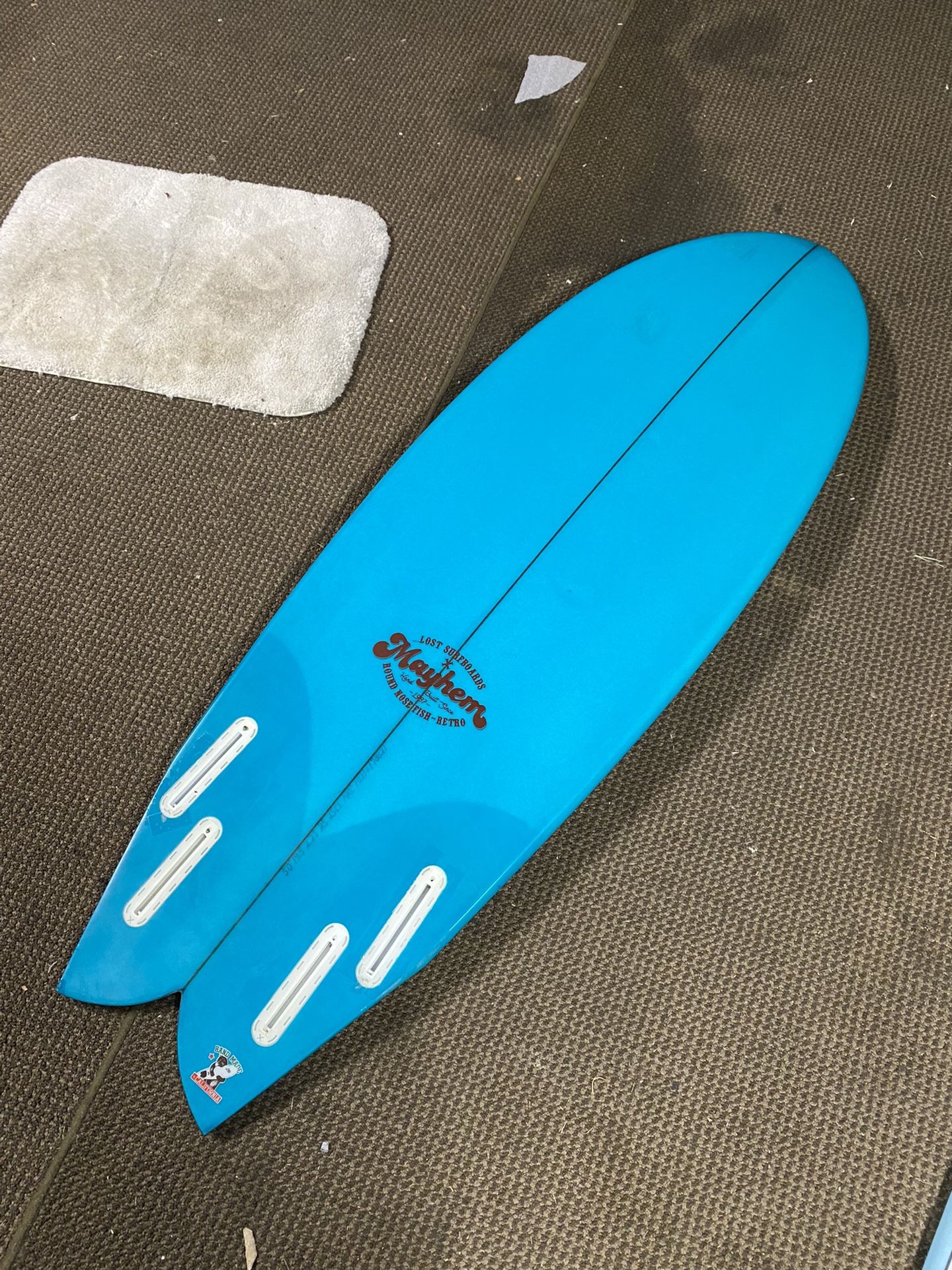 Firewire round 2024 nose fish