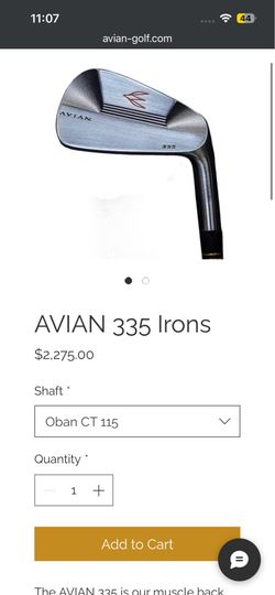 Avian 335 irons 4-P w/ Oban CT115