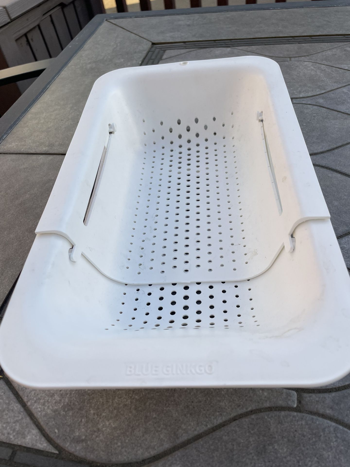 Blue ginkgo colander/strainer