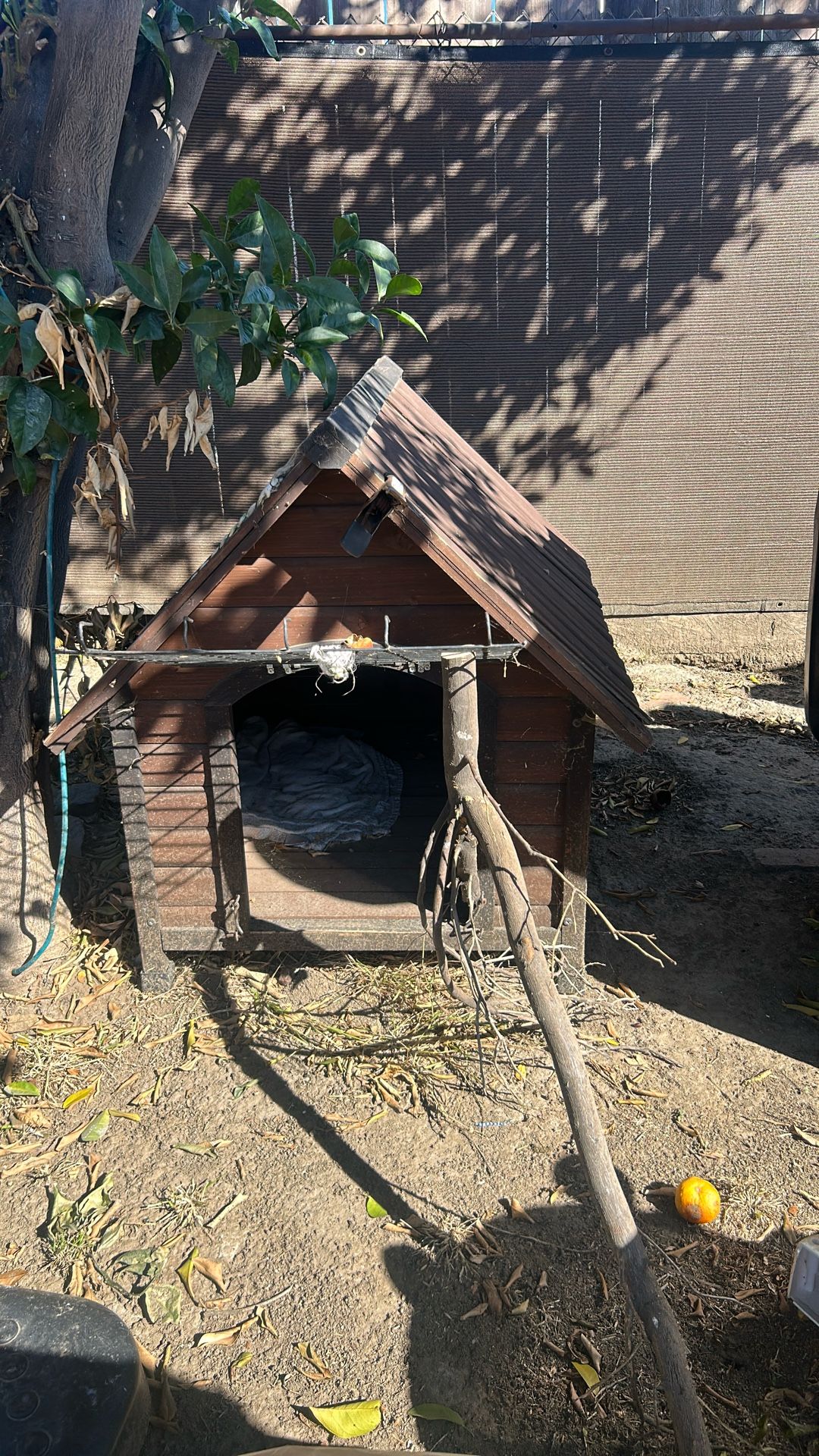 Free Dog House