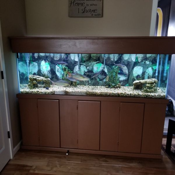 Aquarium for Sale in Portland, OR OfferUp