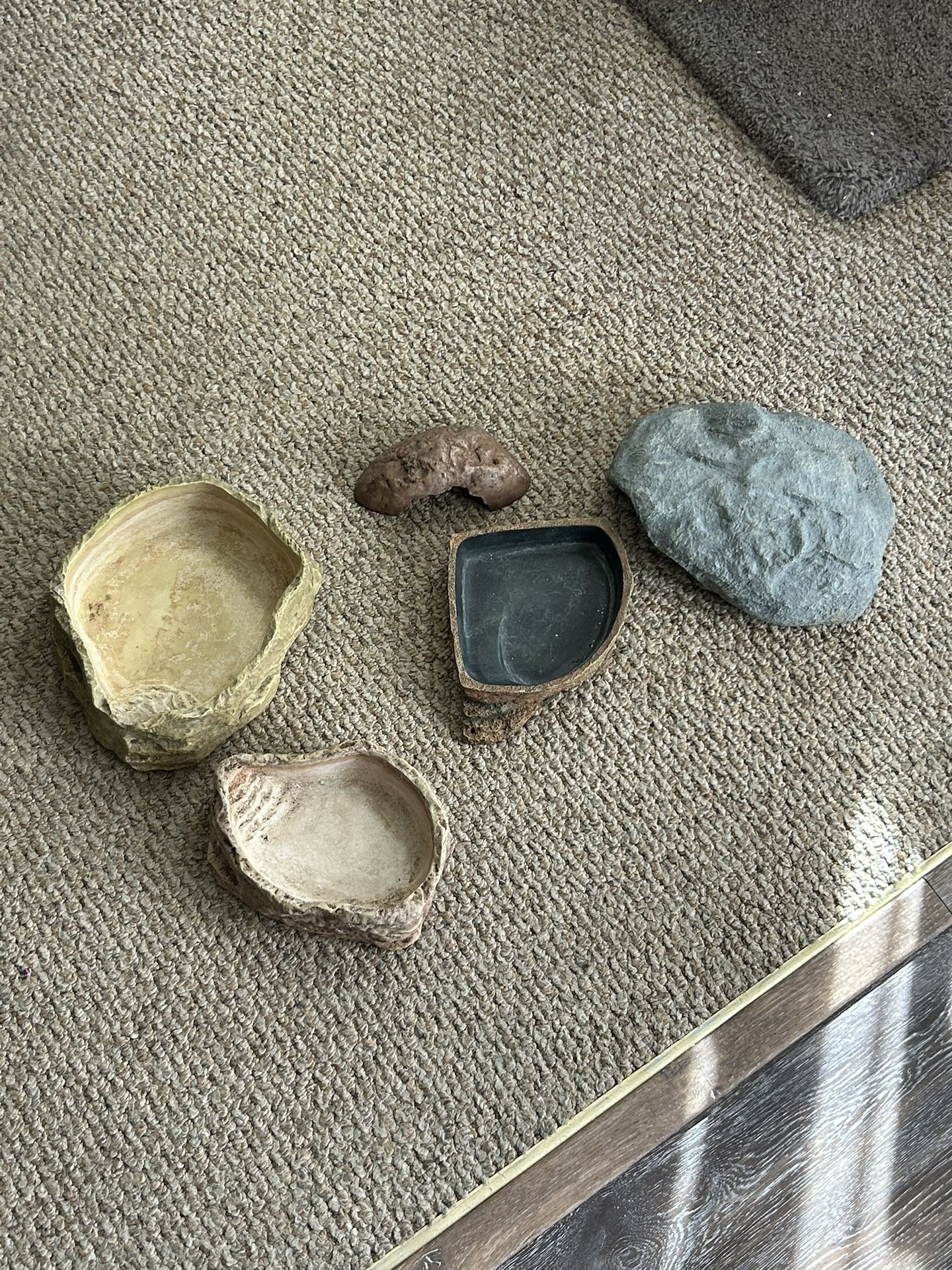 Reptile Hides And Water Dishes