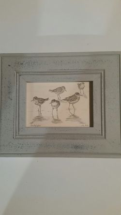 Framed Sandpiper Drawing By Joseph " Jo Ko " Koch