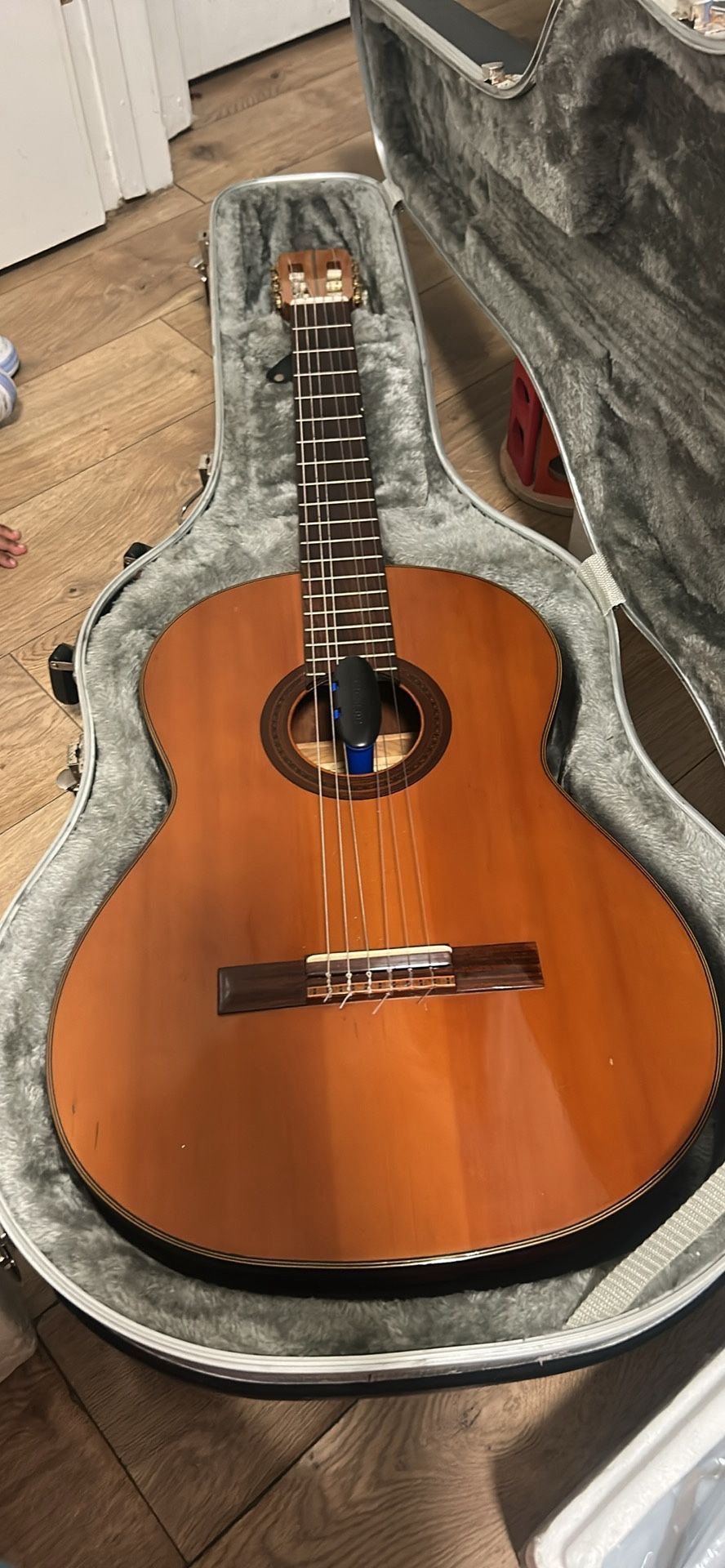 Vintage Guitar 