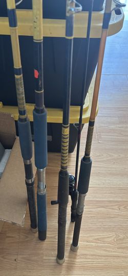 5 Fishing Rods