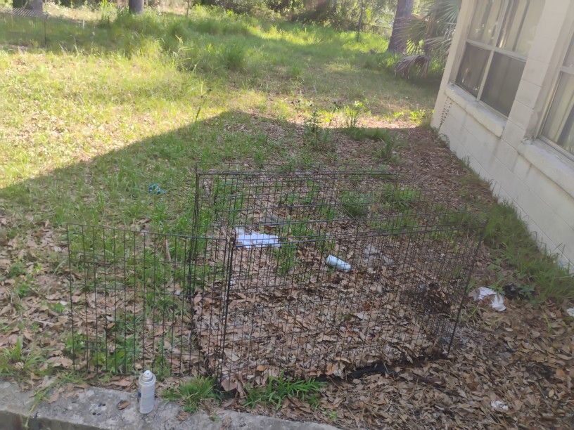 Dog Kennel