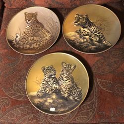 Collector Plates